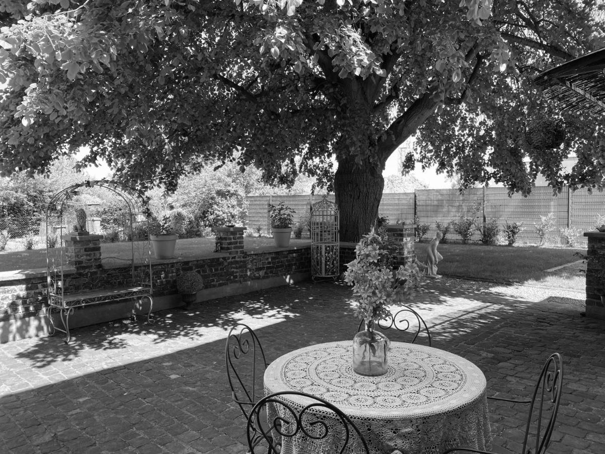 La Villa Des Roses - Suite & Spa Lys-lez-Lannoy Εξωτερικό φωτογραφία